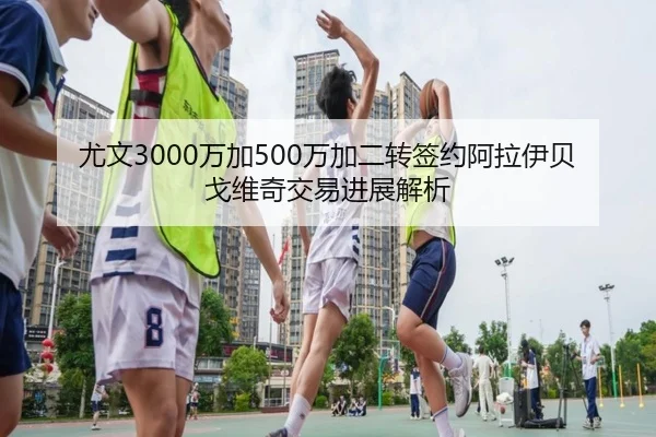 尤文3000万加500万加二转签约阿拉伊贝戈维奇交易进展解析